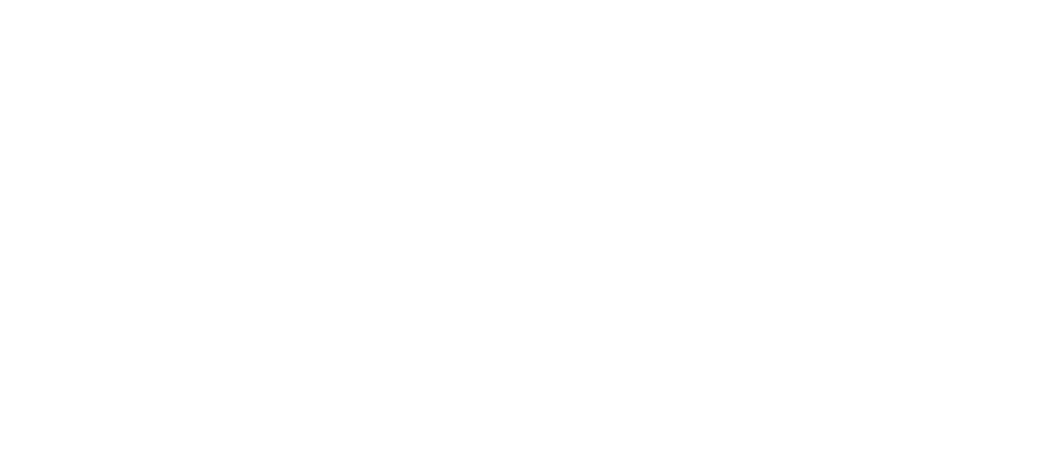 WFP Logo